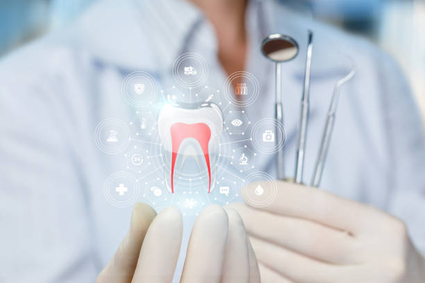 Best Dental X-Rays and Imaging  in Berwyn Heights, MD